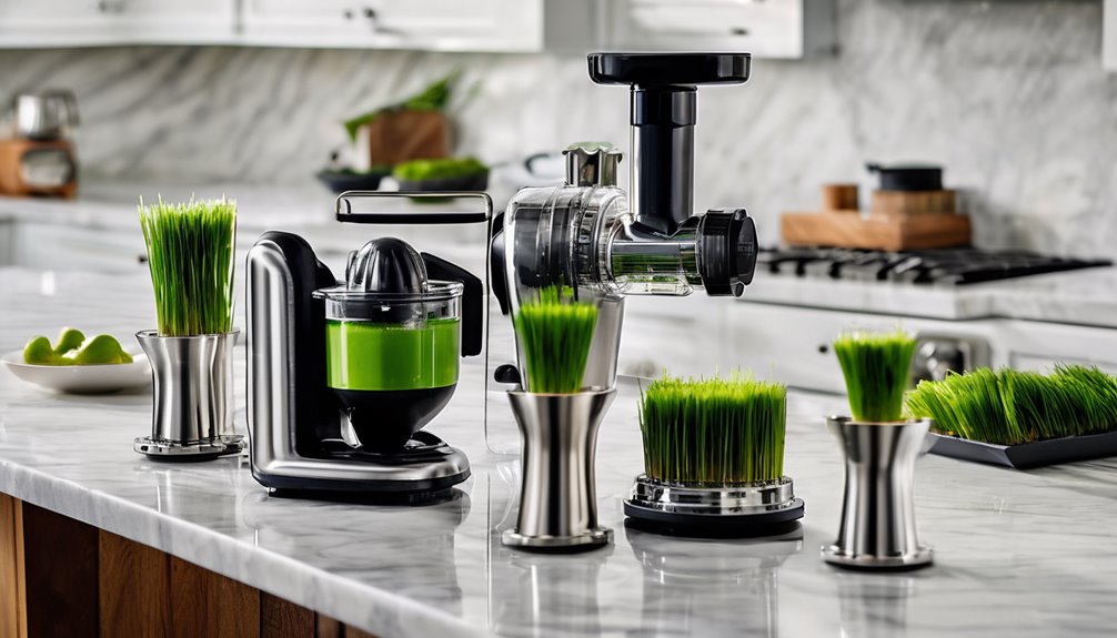 top 5 manual wheatgrass juicers